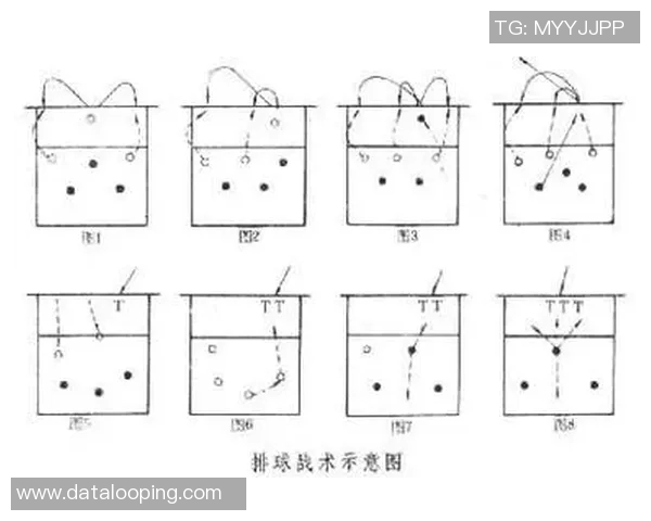成都排球队中路突破的战术解析与未来发展展望