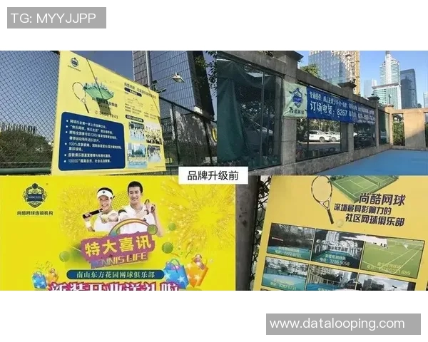 武汉网球队与重庆网球队赛后复盘分析灵活性表现与战术对比