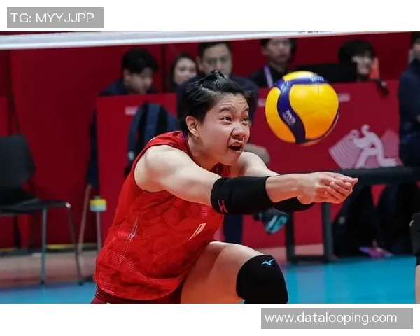 最新排球实力排行榜出炉杭州排球队稳居第一名引领风骚